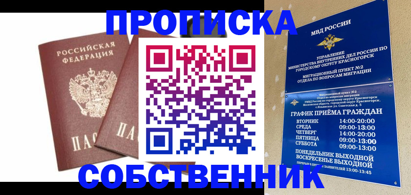 временная регистрация для школы в Лыткарино